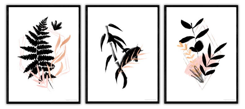 koi-serien koi-serien